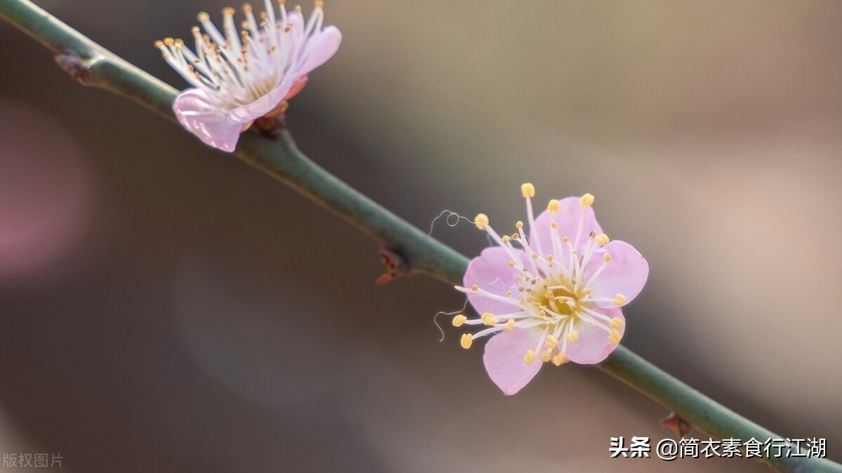 她做保姆这些年豪门生活1,她做保姆这些年豪门生活最新