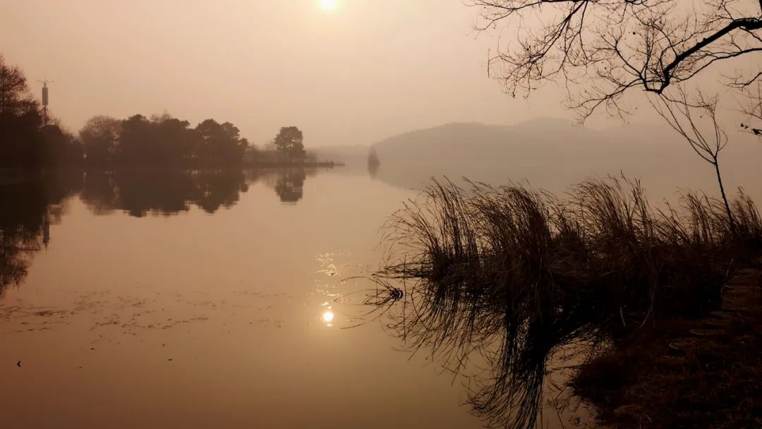 临沂园林景观工程施工,厦门园林景观设计施工