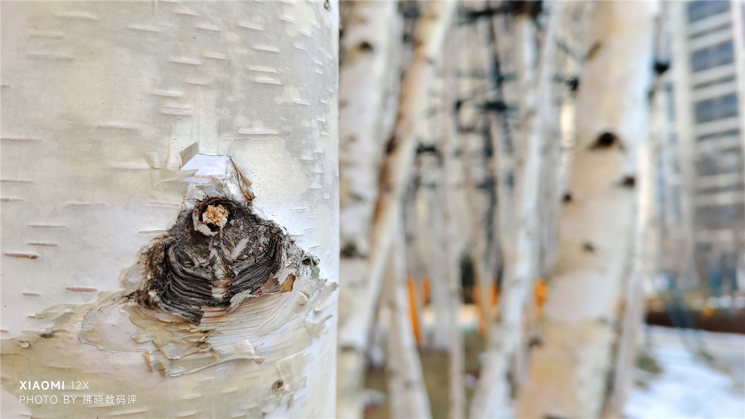 小米12x的骁龙870为什么发热,小米12x骁龙870支持远摄吗