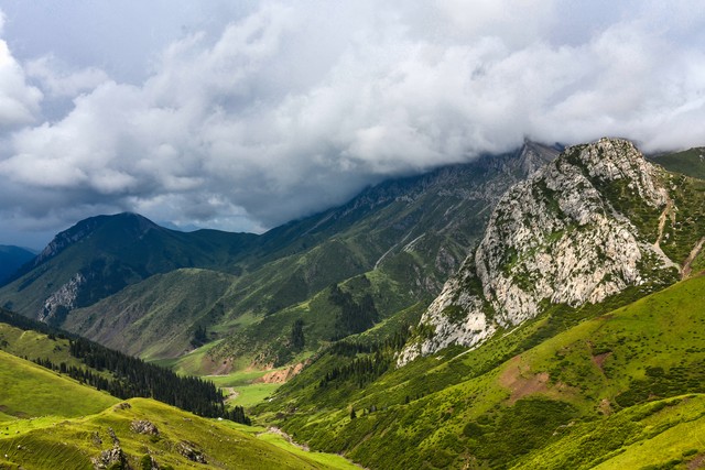伊犁是一个什么样的城市,伊犁是怎样的地方