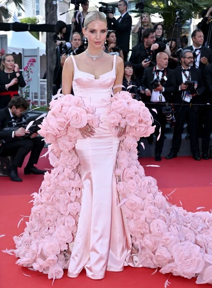 范冰冰为什么可以出现在戛纳红毯,范冰冰在戛纳让人吐槽的是什么