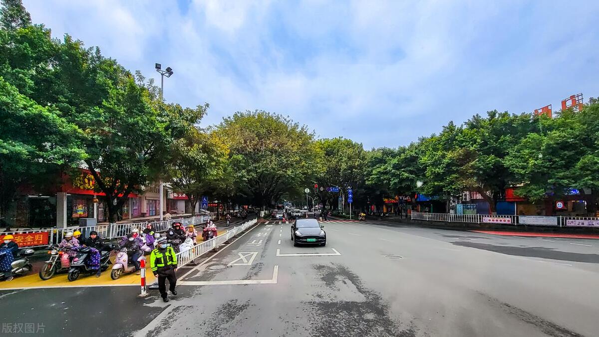 桂花树什么时候栽易活,桂花树枝繁叶茂开花少