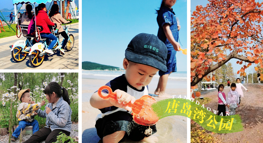 青岛遛娃推荐一定要去的十个地方,青岛石老人浴场到青岛海底世界