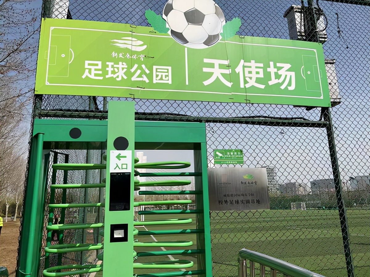 足球入场费,郑州足球场草坪费用