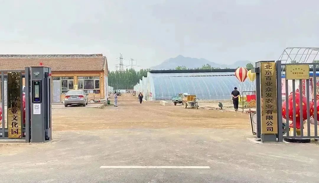 顺义喜邦樱桃采摘园,顺义千亩樱桃采摘园视频