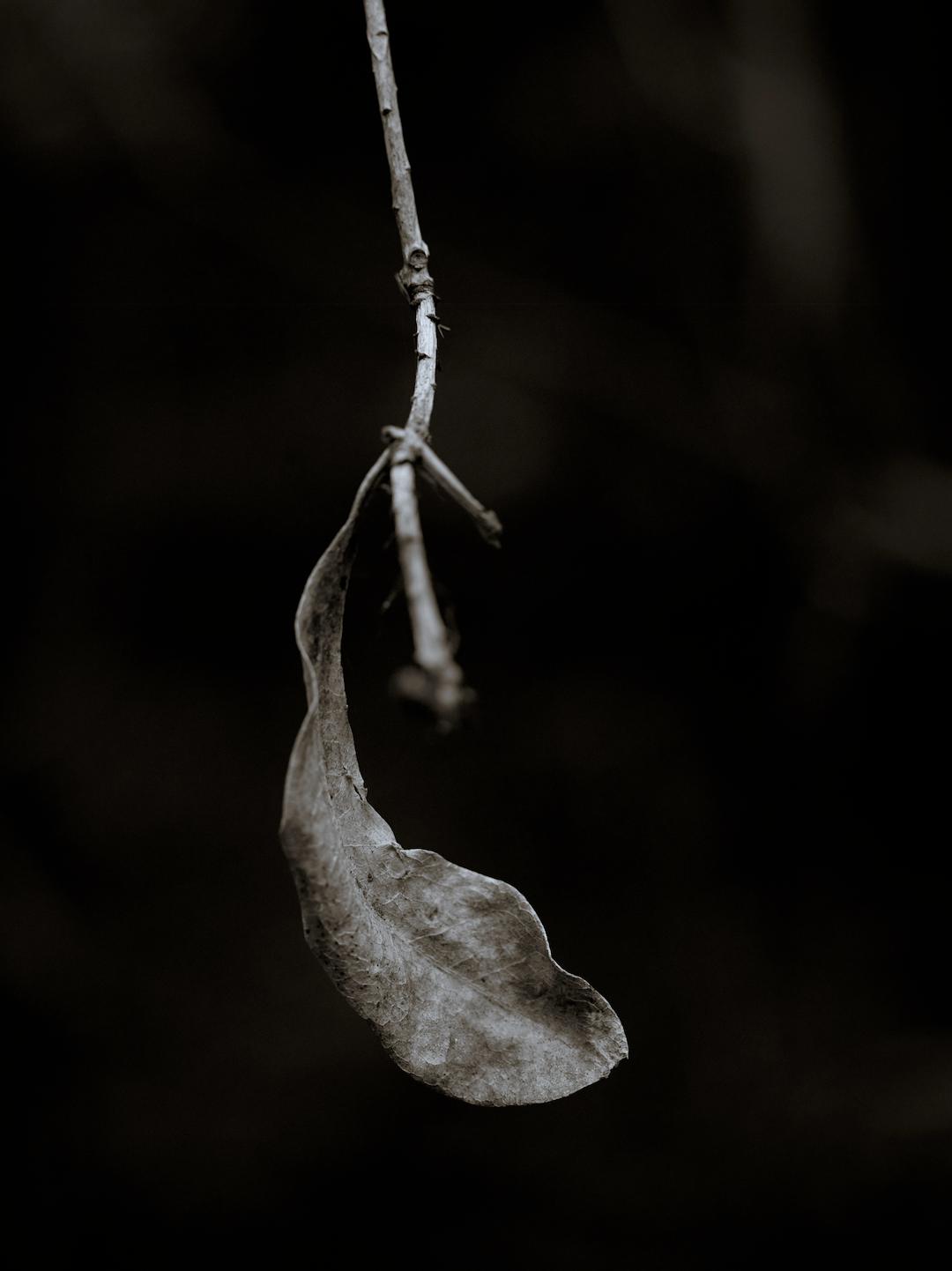 2022索尼摄影大赛征稿,2022索尼世界摄影大赛