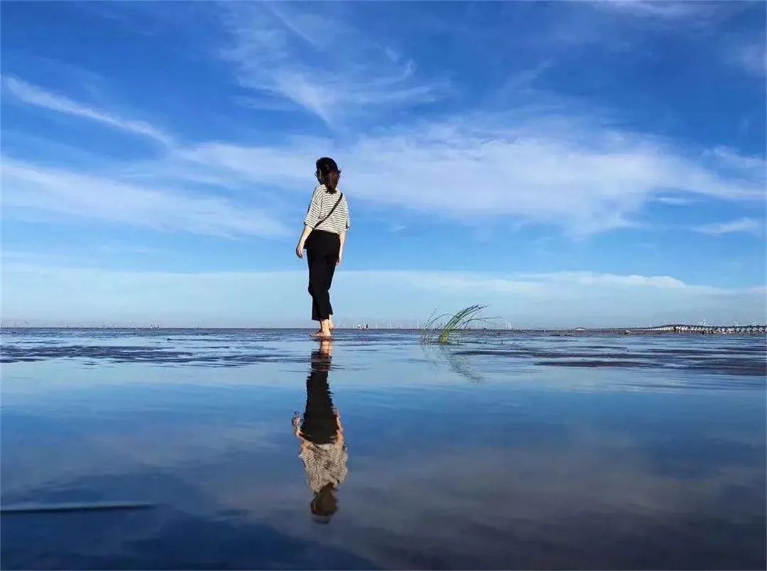 足不出沪旅游,足不出沪食遍江南