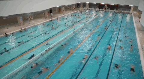 夏夜的一万种可能标题,夏夜的一百种可能