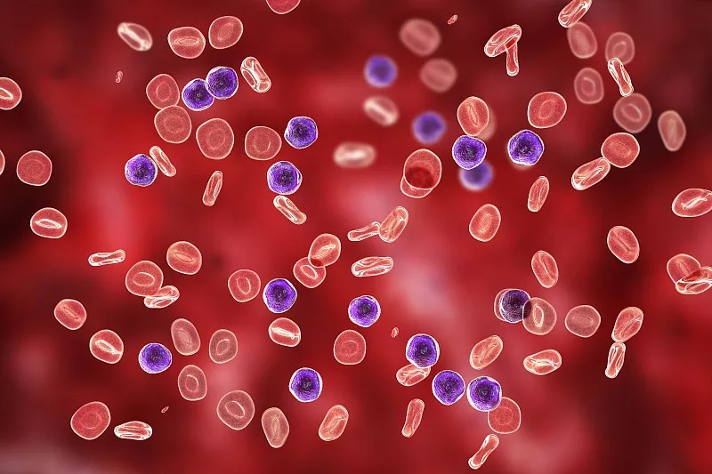 孩子流鼻血怎么办？这样做可以快速止血！有需要的快收藏