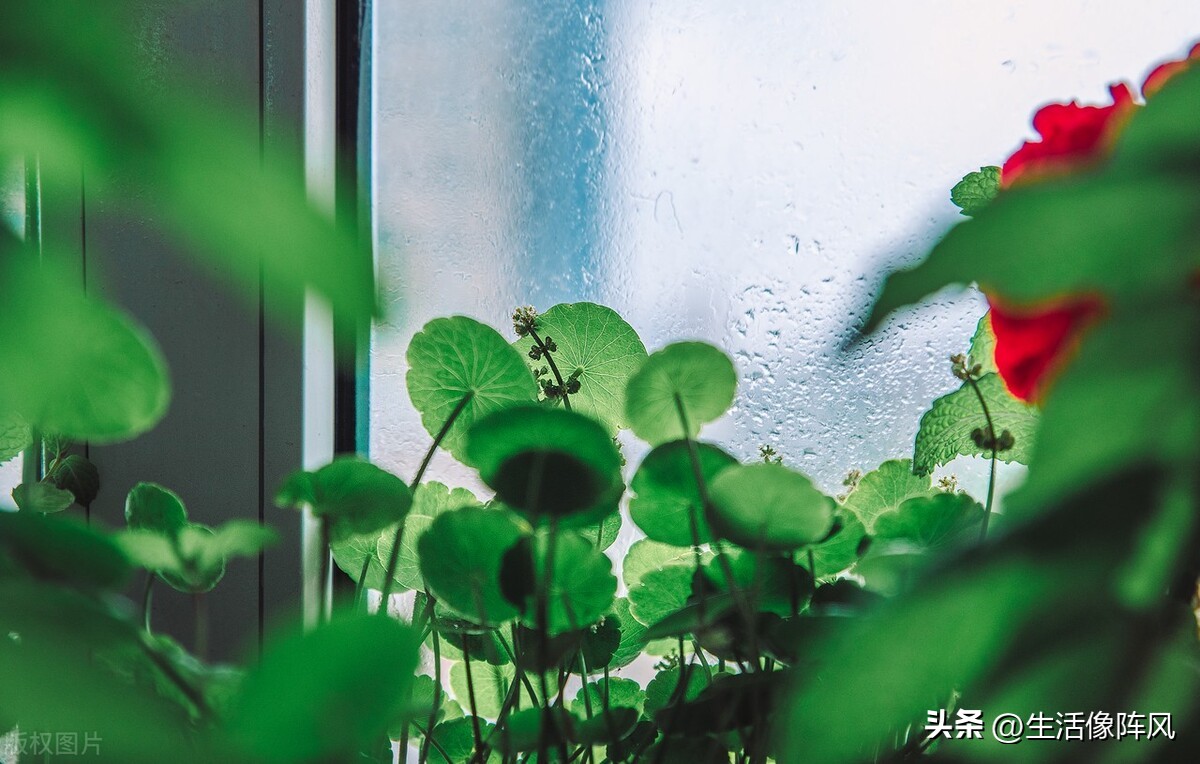 被疫情偷走的这三年文案,被疫情偷走的这三年旅行