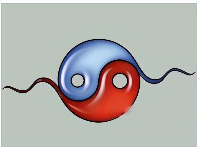 女性雄激素与雌激素的关系,女性雌激素和雄激素的关系