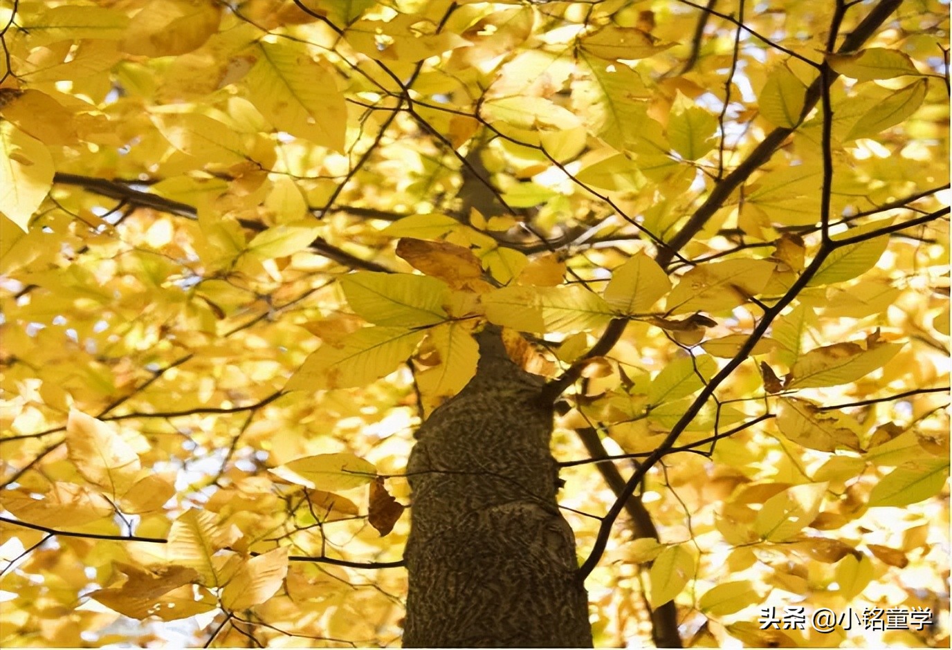 怎么买到比较有质感版型好的衣服,怎么才能买到版型好质感好的衣服
