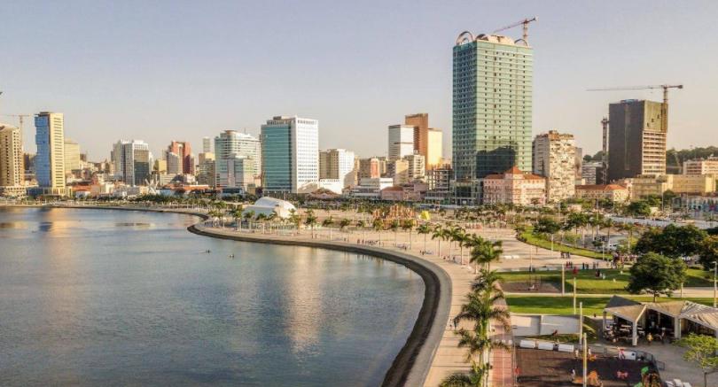 中国安哥拉蔬菜 (安哥拉的中国人种菜)