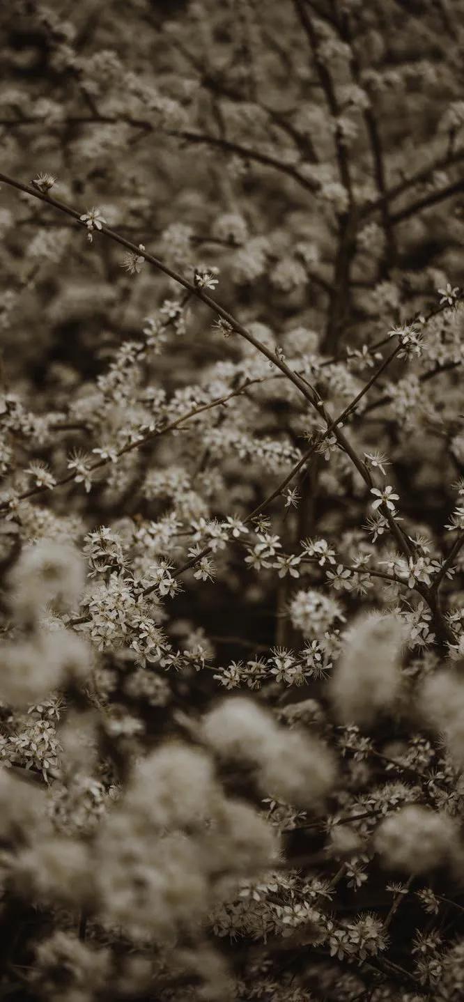 超高清海洋沙滩风景壁纸全屏,湛蓝的海水海滩风景高清壁纸