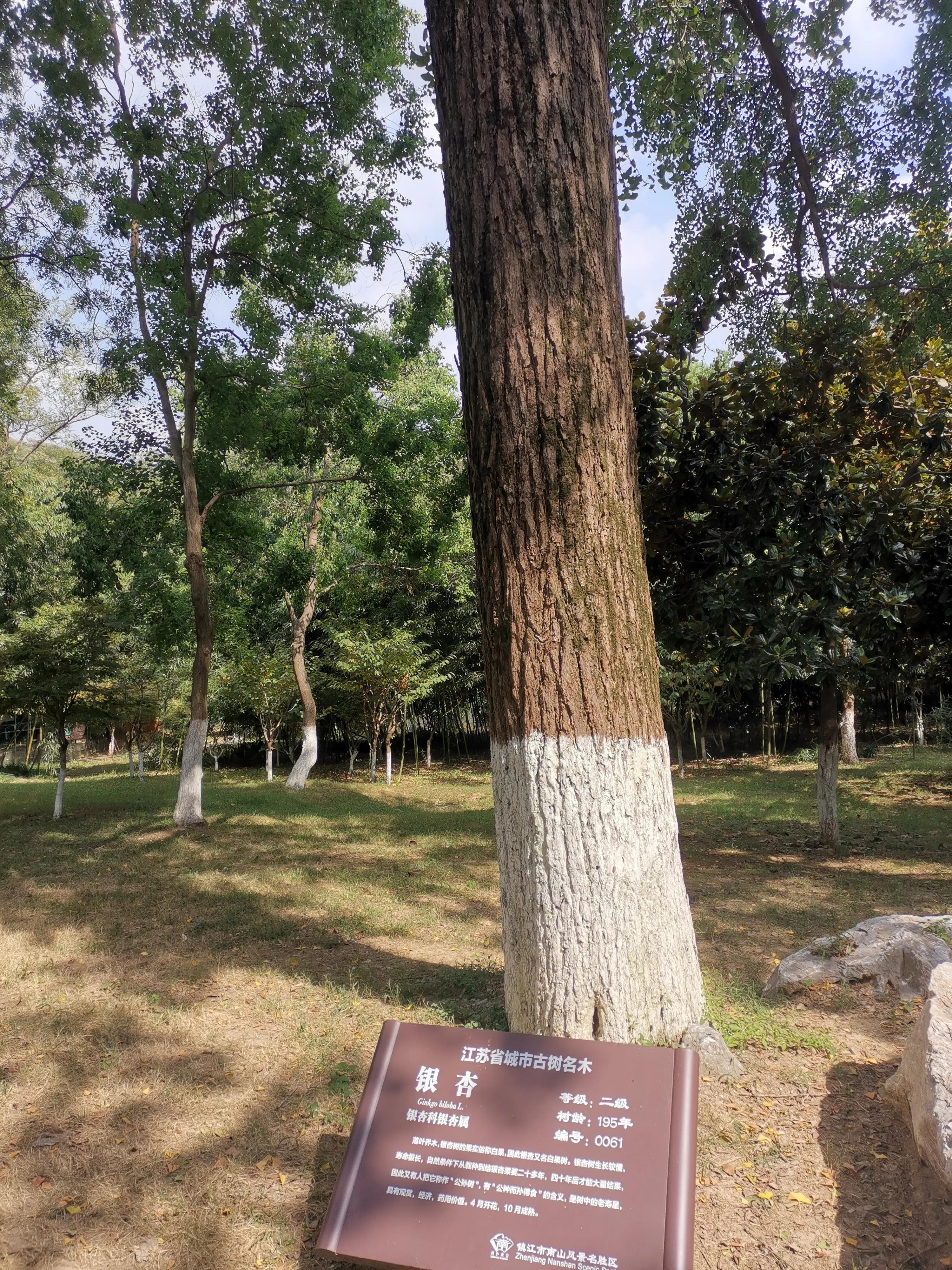 南京出发到镇江一日游跟团多少钱,南京去镇江旅行攻略路线