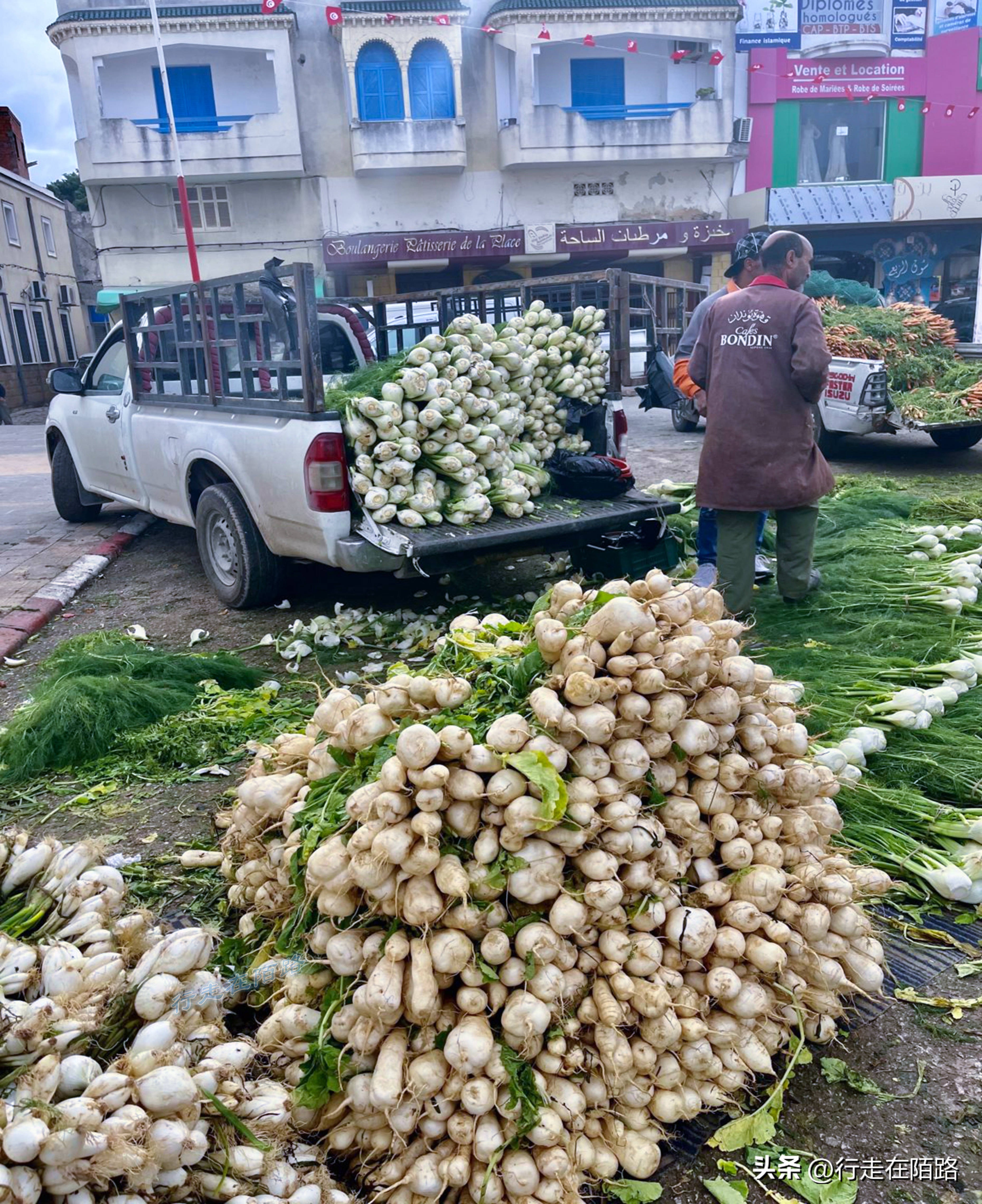 非洲突尼斯：不太一样的穆斯林国家，面积小人口少物价低