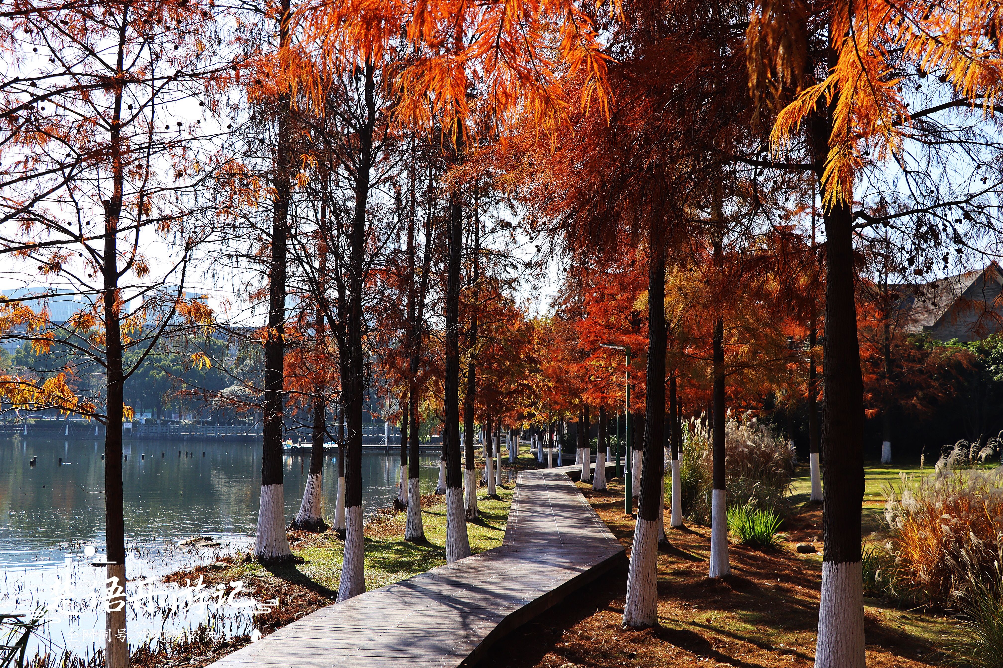 宁波地铁旅游攻略必去景点,宁波地铁直达的旅游景点