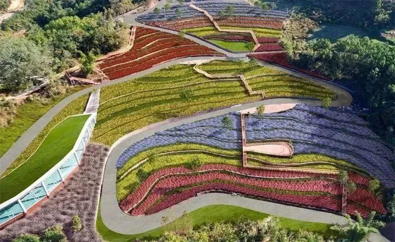 云南六一儿童节旅游攻略,云南适合小朋友旅游的地方