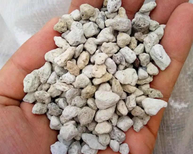 气滞血瘀子宫肌瘤中药方,千古名方软坚散结