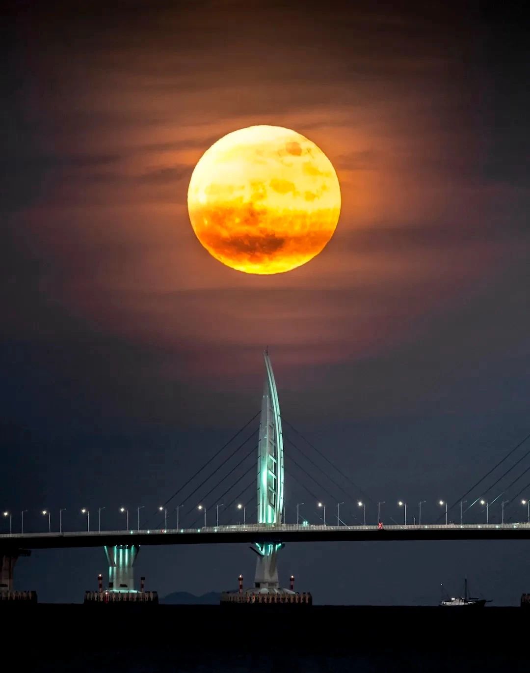 奥斯卡摄影奖中国获得者,摄影界的最高奖项叫什么