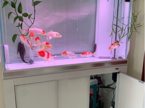 东西六不送是指哪六种东西,东西六不送指的是什么