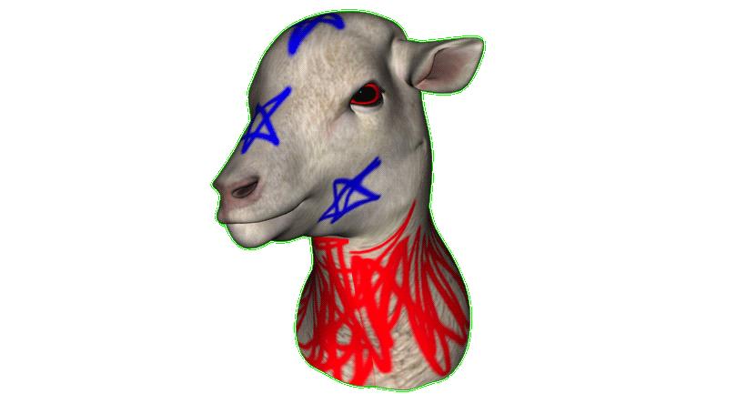 巴黎世家分销被骗的钱能找回来吗,巴黎世家到底在干嘛