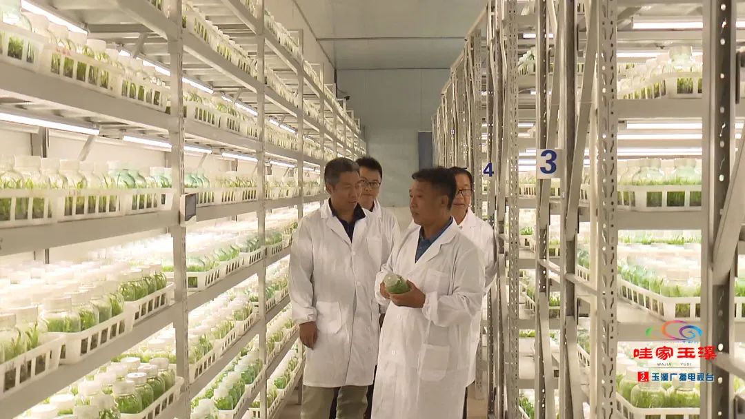 一线调研看发展,一线走访调研