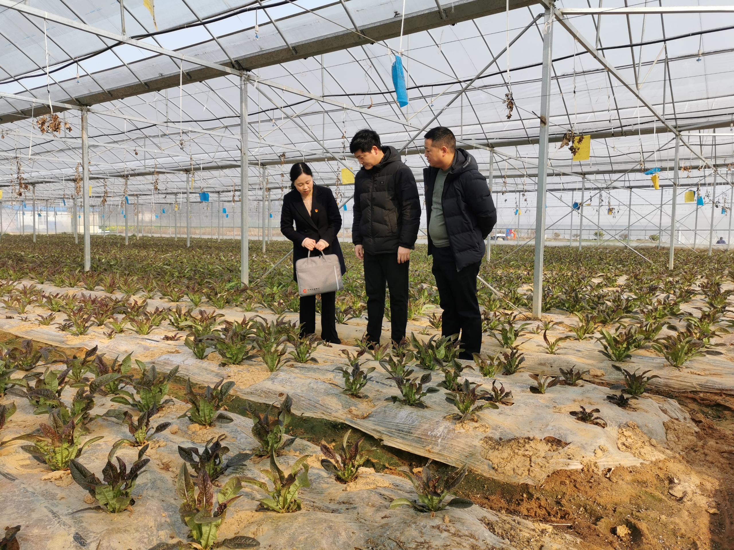 农业银行全力支持春耕生产,农商银行助力农业生产