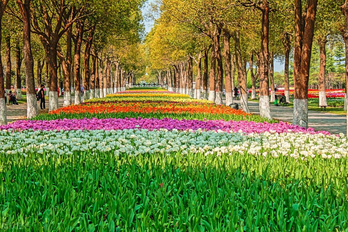 涓婃捣鍗佸ぇ璧忔鍦扮偣鎺掑悕,涓婃捣鍗佸ぇ璧忚姳鍏洯