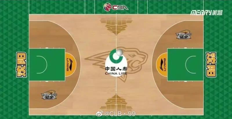 辽宁队海报豹子,辽宁队豹子