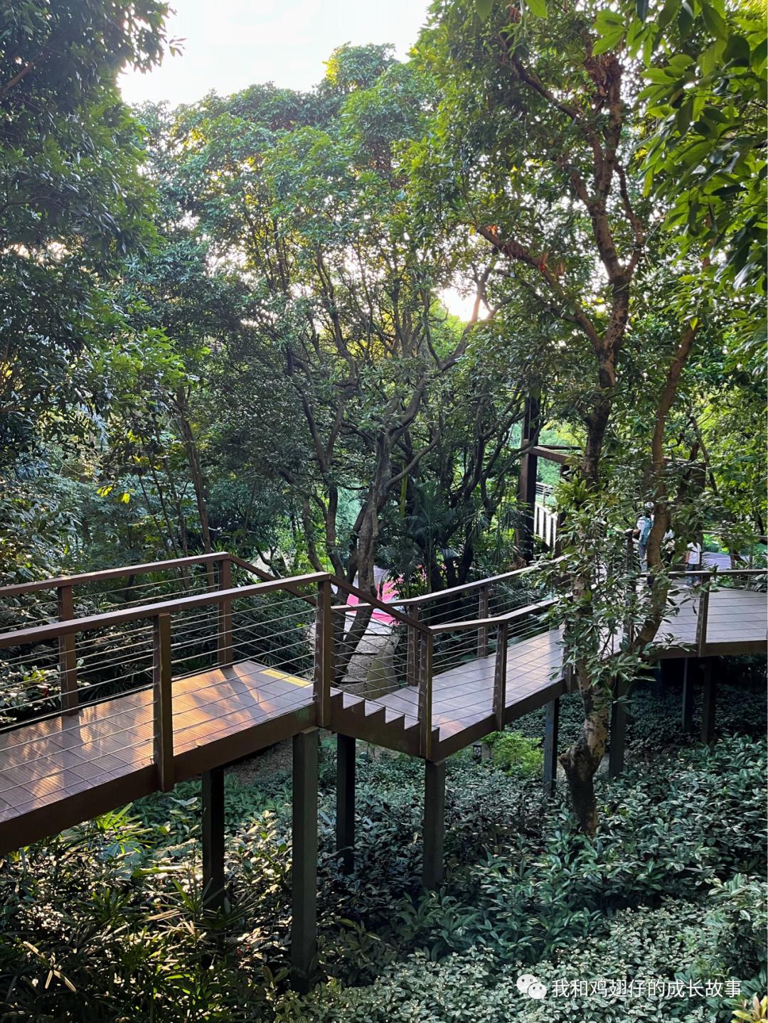 爱美丽深度解读,爱美丽150集免费观看