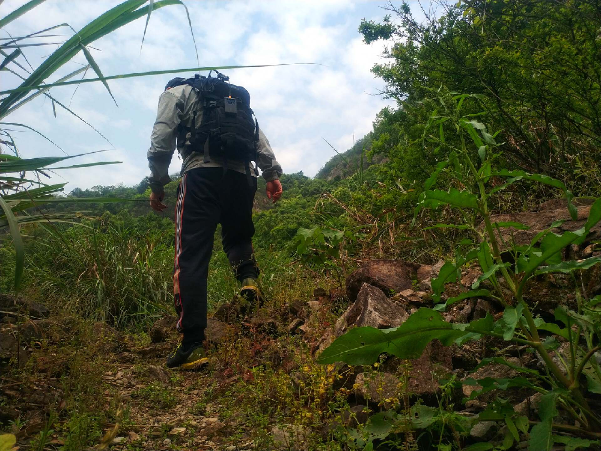 奈特科尔06驱蚊器,奈特科尔驱蚊器emr06