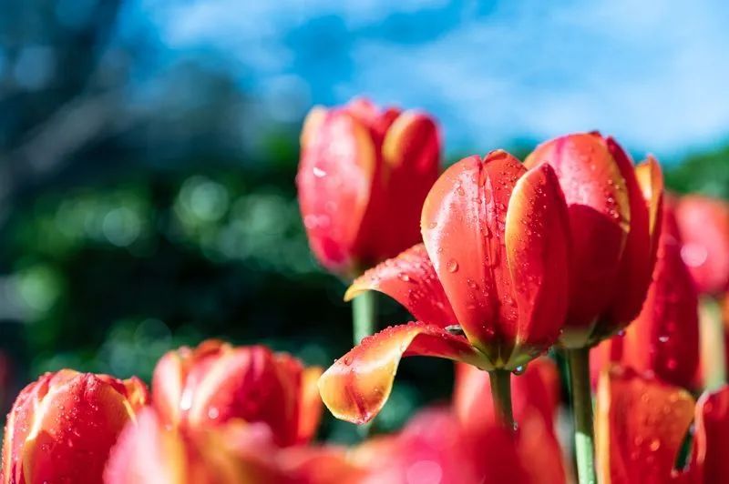 迈开脚步看风景别辜负昆明好风光,带你看云南昆明美景