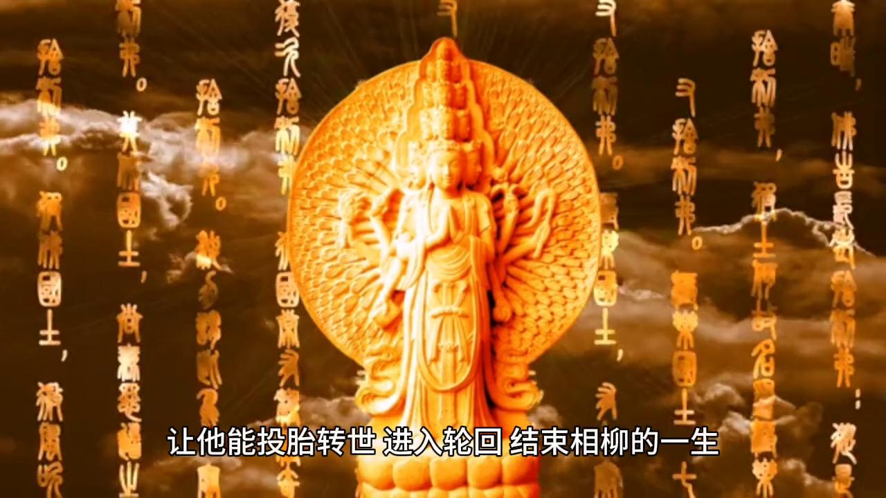 白羽见到澹台烬,白羽去北京应翰家做客