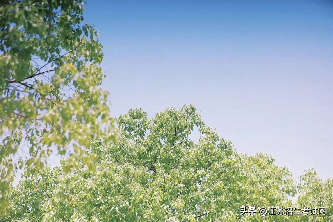 苏州市职业大学单招简章,江苏苏州市职业大学招生简章