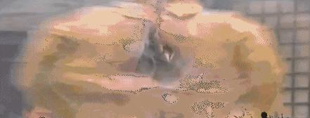 “抗战神剧”专业户演员，如今全糊了，他们的“没落”该怪谁呢？