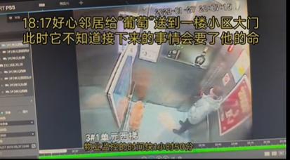 猩猩扔水瓶砸伤游客账号,动物园称猩猩砸伤游客系正当防卫