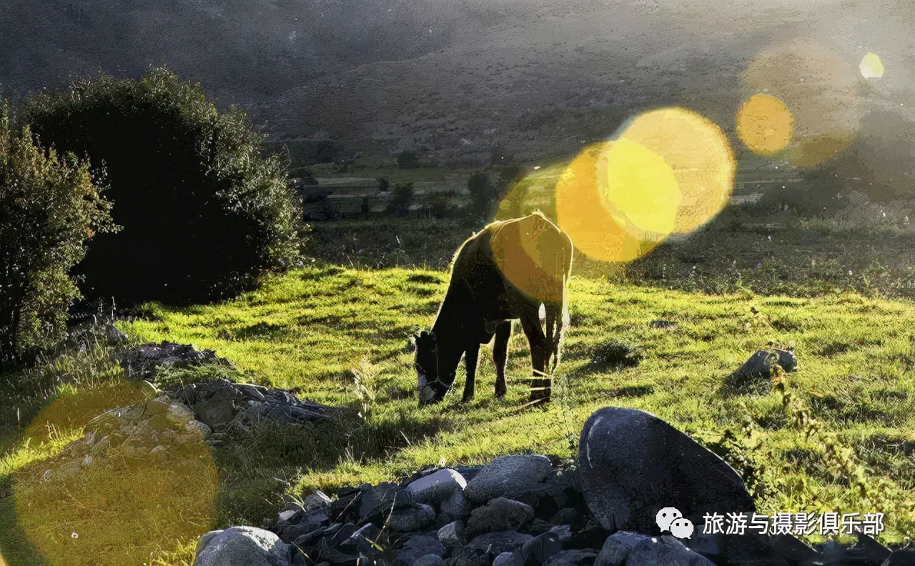 ps神仙特效,ps一键光效插件使用方法