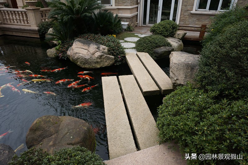 庭院鱼池哪种水质养锦鲤最佳,锦鲤鱼池水质碱高