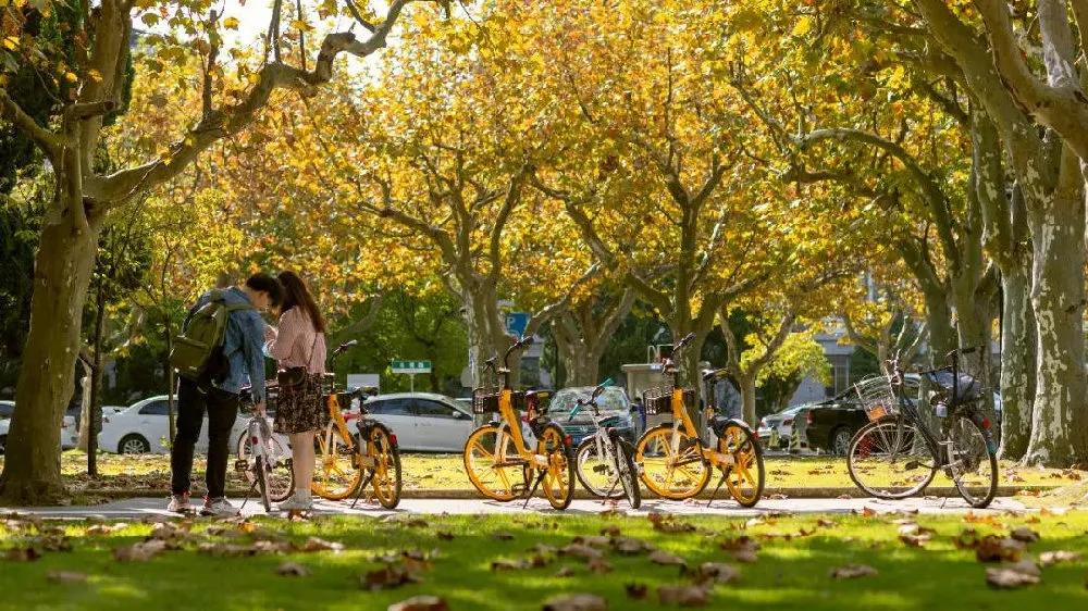 华东师范大学毕业后就业前景,华东师范大学毕业就业率