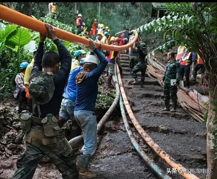 上周最好的电影，你看了么？