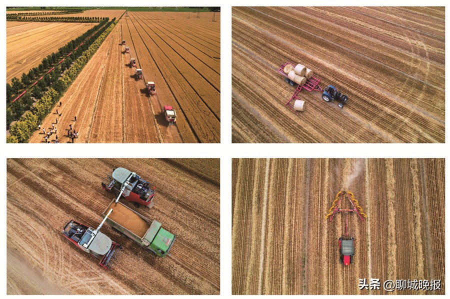 水务杯摄影作品,水务杯冠军