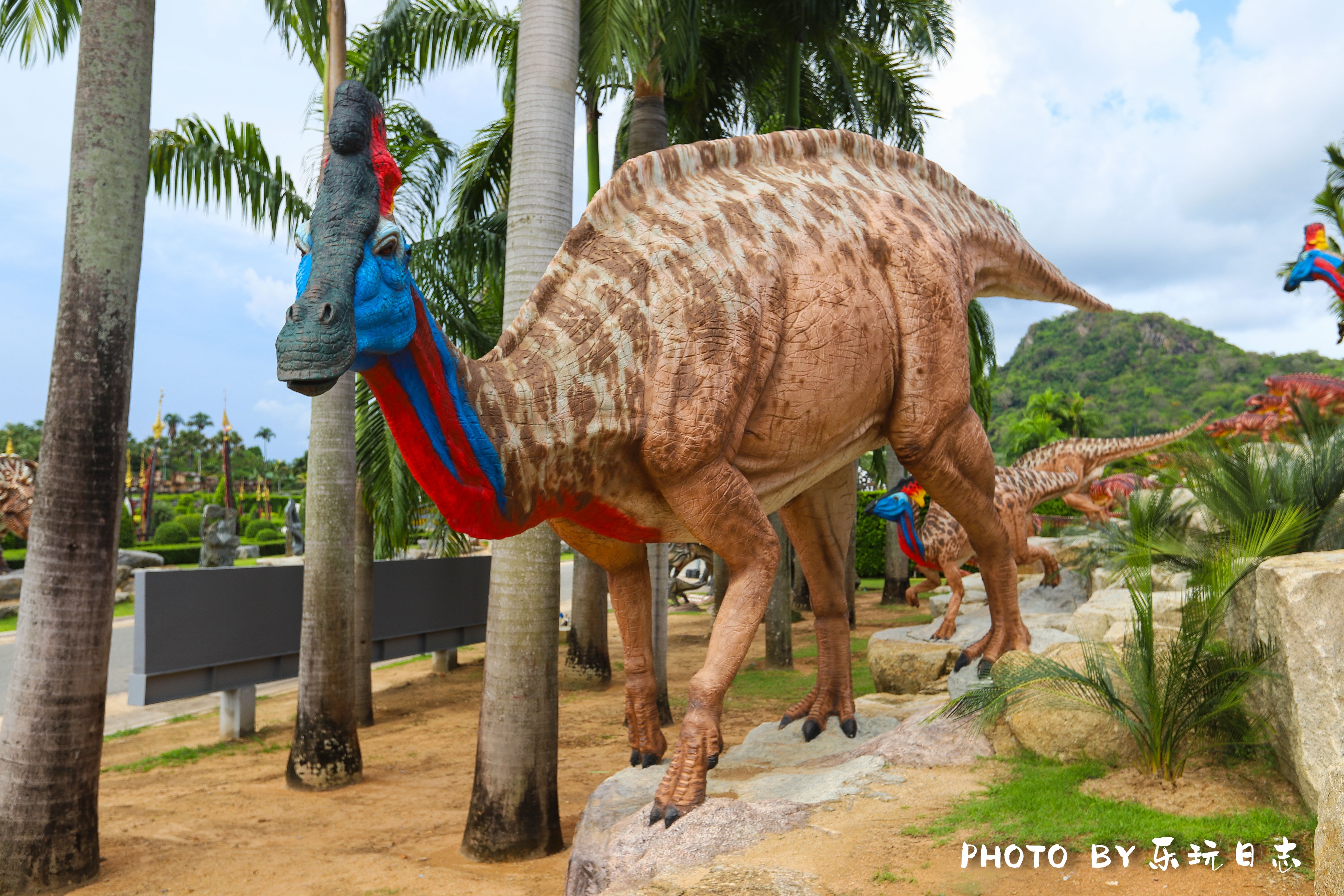 泰国热带公园,泰国东芭乐园占地面积