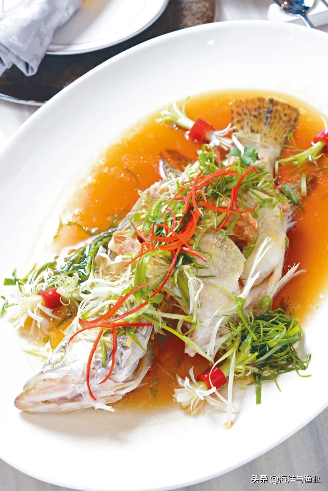 中国渔业海鲜之都,海鲜水产哪几个地方最出名