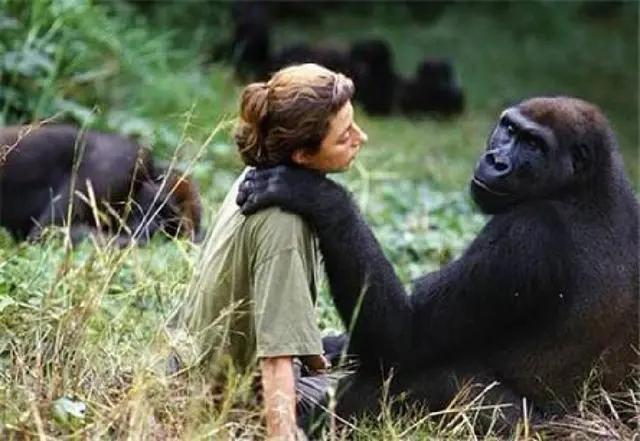 人类进化体毛为什么保留,脱毛血泪史解说