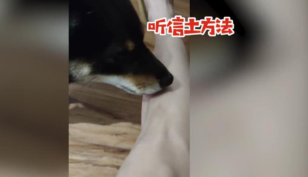 疯狂的医治方案，一位汪先生的‘狗舔’实验