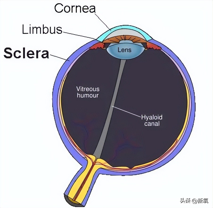 眼睛怎么才能变成星星眼,怎么让眼睛变星星眼