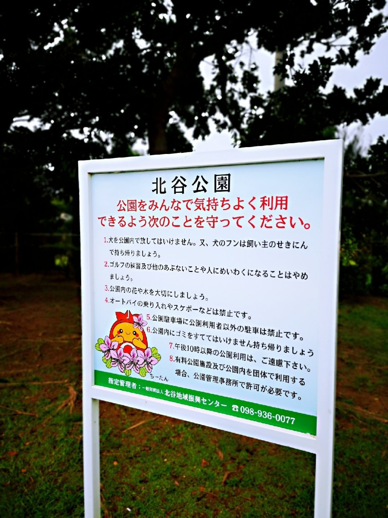 暑期档2019年,2019年暑期档