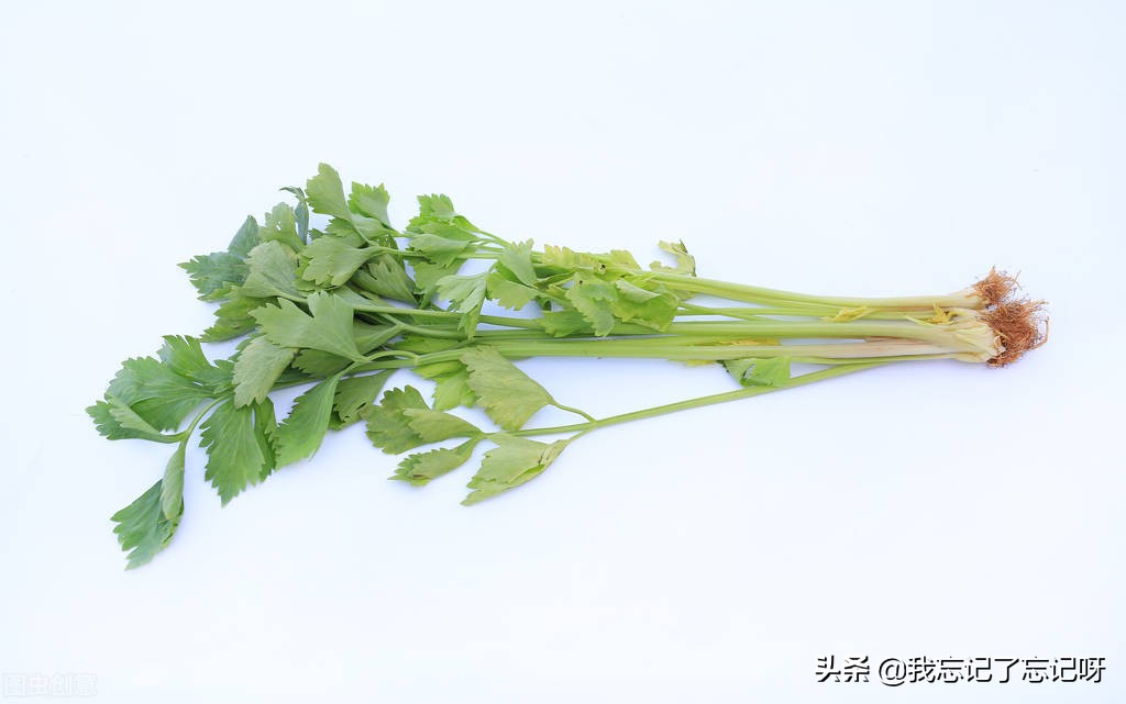 阳台种植水果用什么肥料好,适合阳台种植的水果有哪些