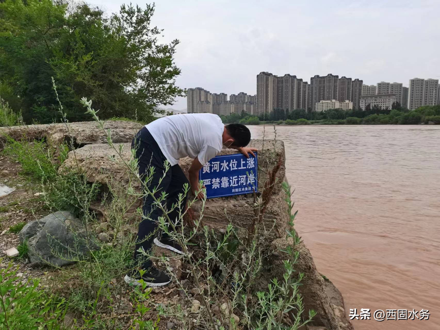 市水务局督查重点项目进展情况,市水务局质量提升工作总结报告